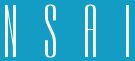 nsaisaclogo (2K)